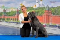 Оллада Арлекин Каспер