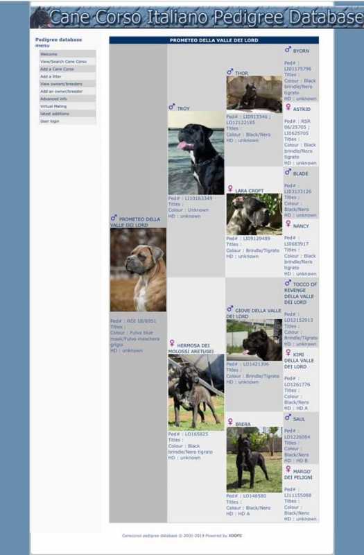 58BAB305-F1BC-4B17-9EFD-766A0C2C0E6B.jpeg 58BAB305-F1BC-4B17-9EFD-766A0C2C0E6B.jpeg